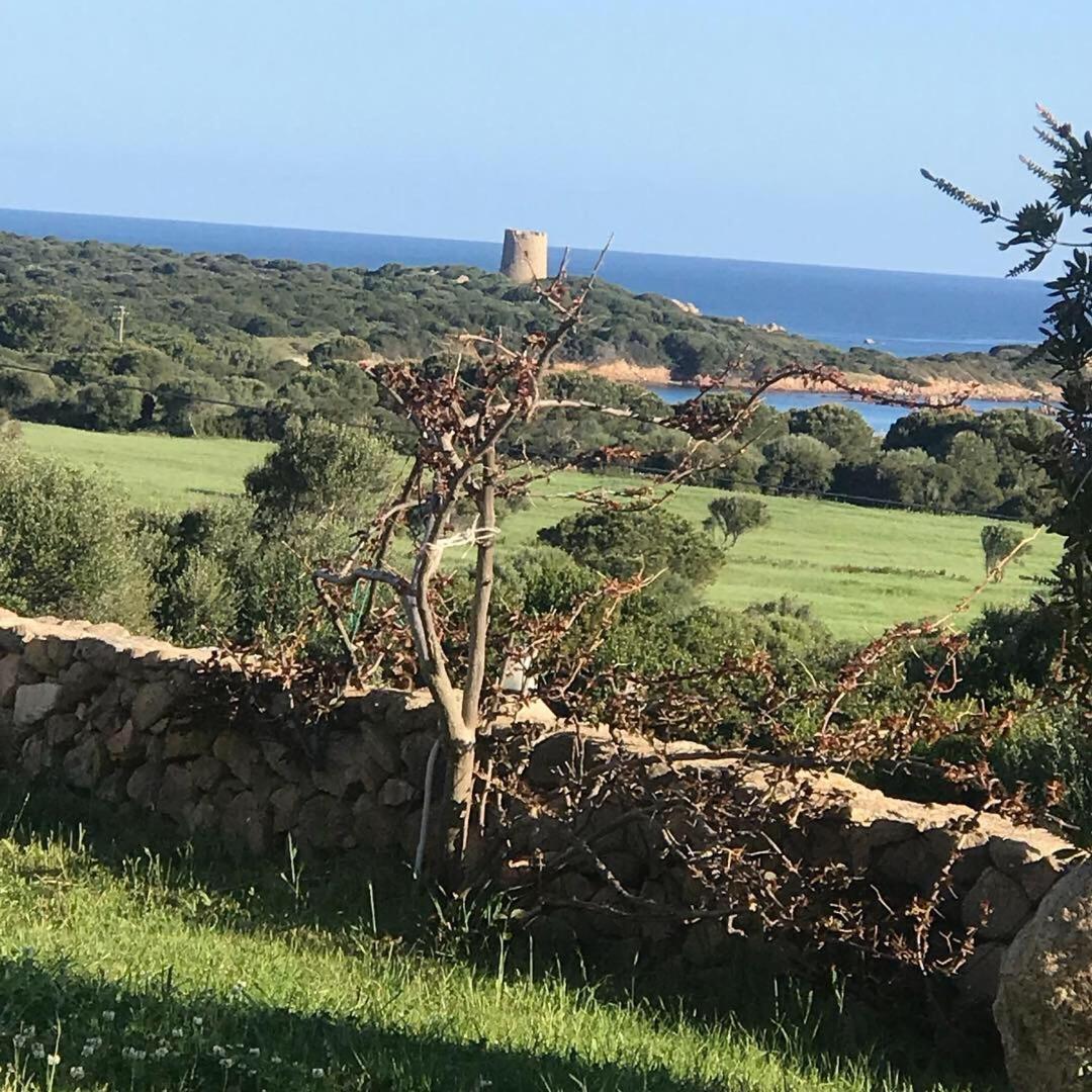 Stazzo La Foci Soluzioni Vista Mare Aglientu Exterior foto